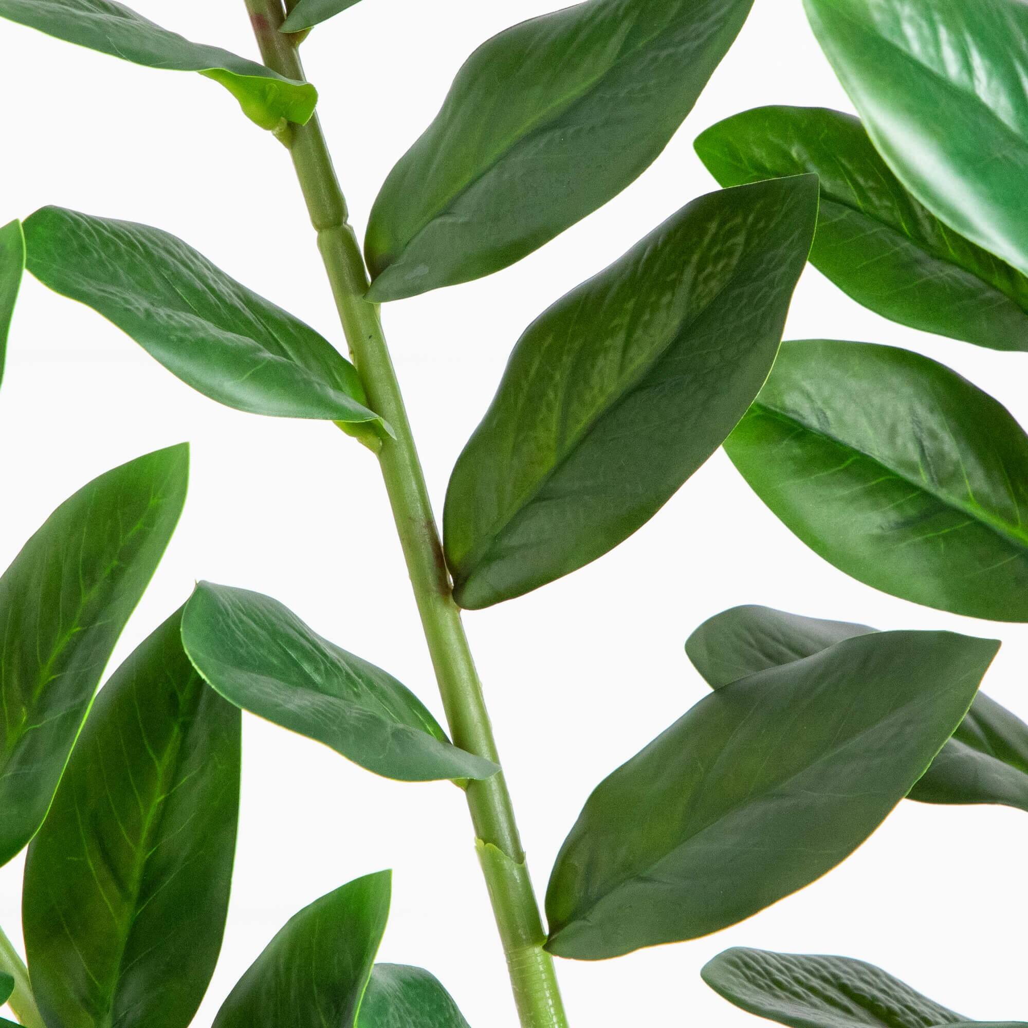 6ft. Artificial Zamioculcas Plant